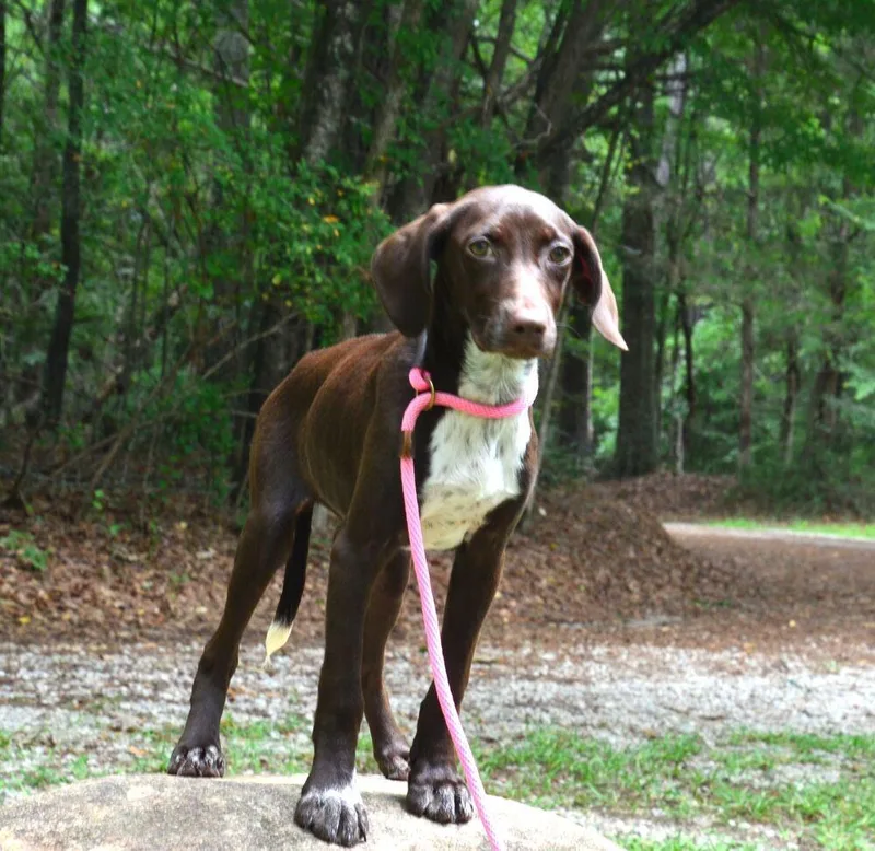 Gracie thumbnail 4