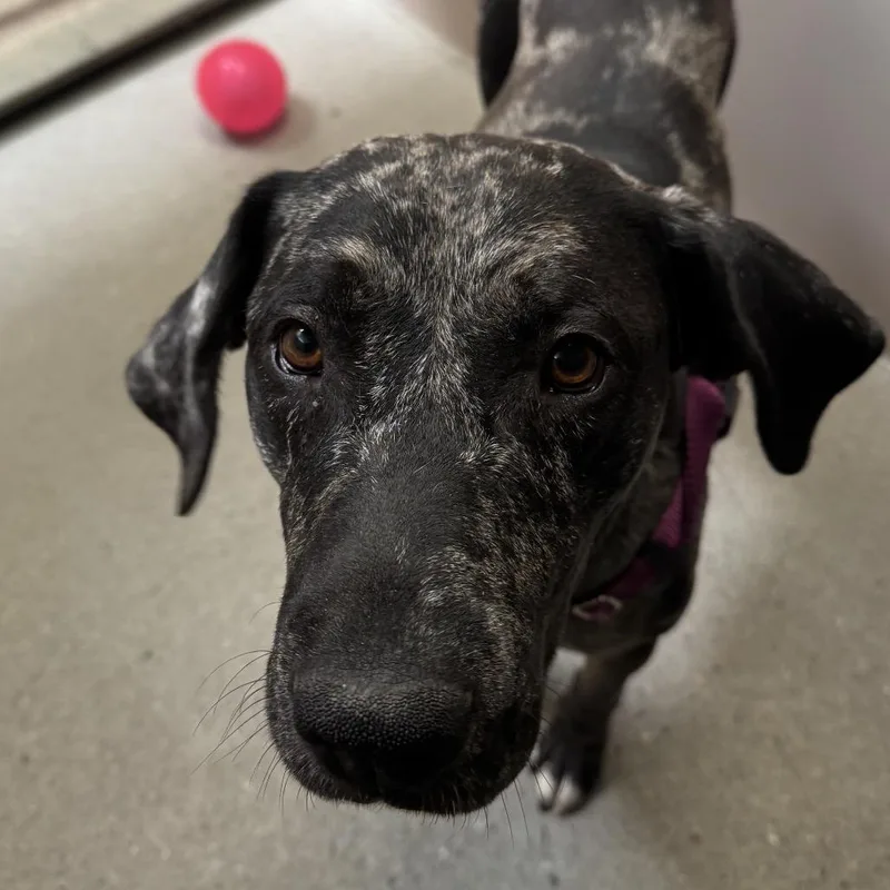 Granite