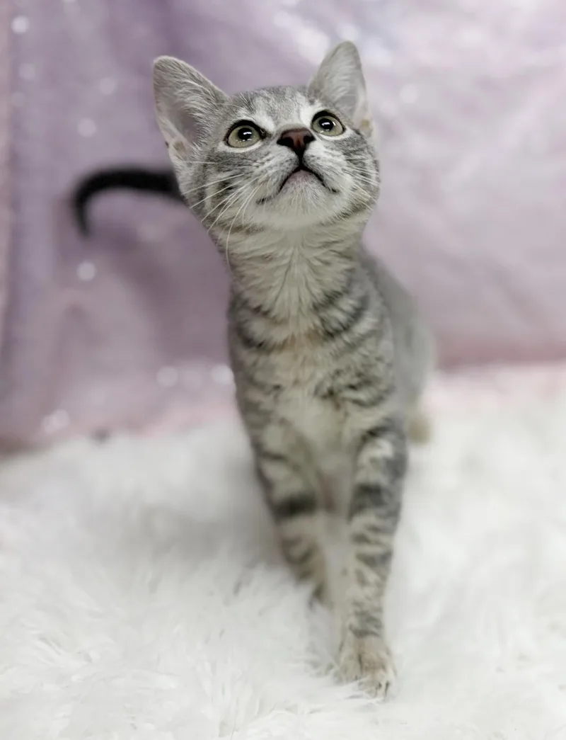 Delphine is a living thumbnail 4
