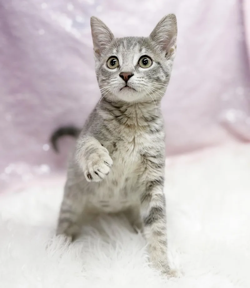 Delphine is a living thumbnail 6