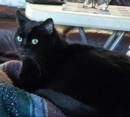 Lenny thumbnail 2