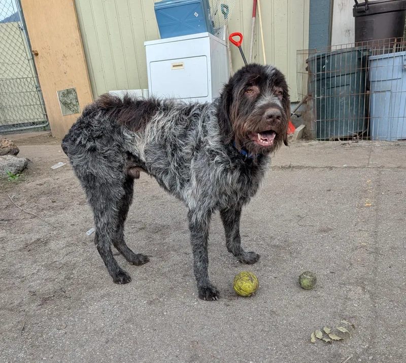 Preacher thumbnail 2