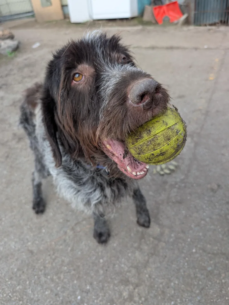 Preacher thumbnail 6