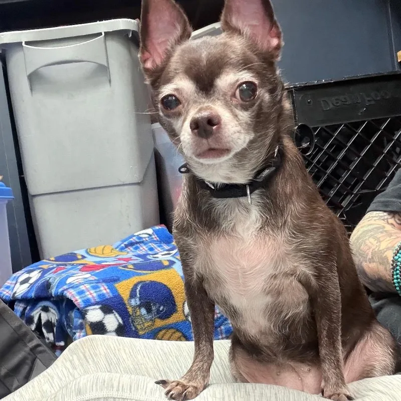 Coco thumbnail 2