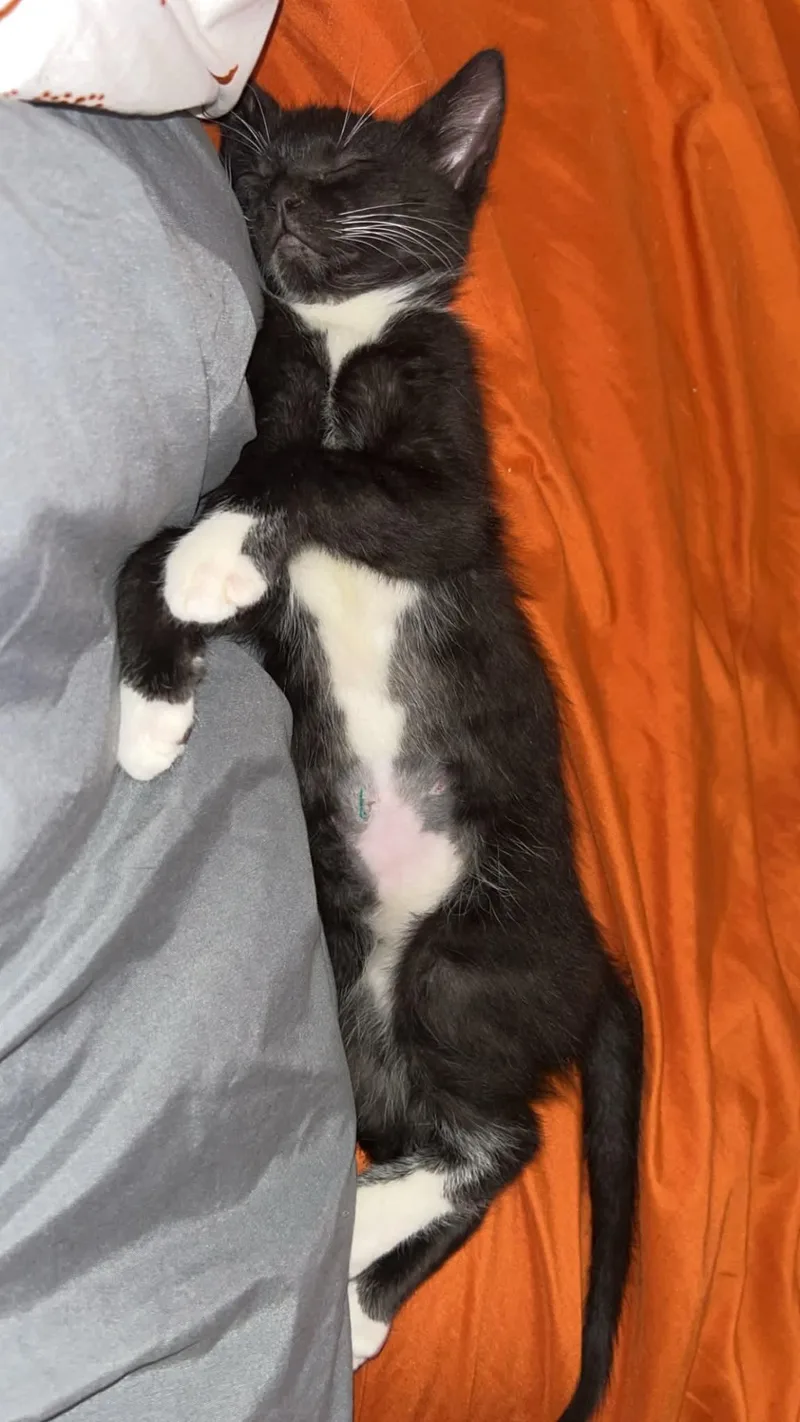 Tux