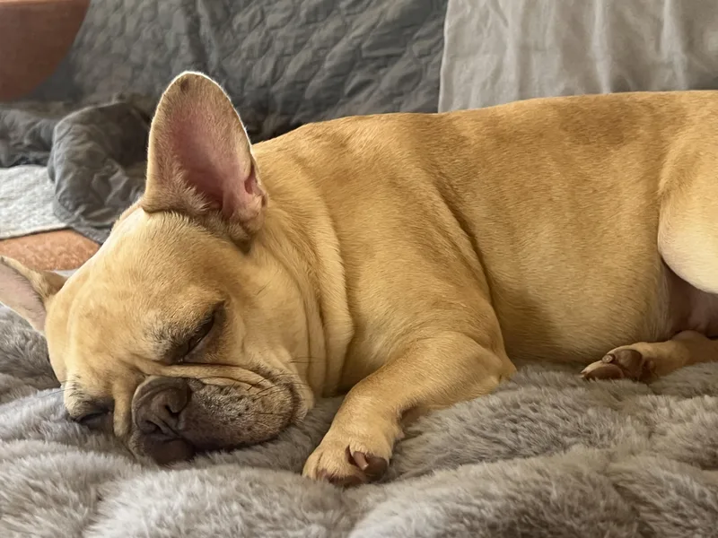 Winnie thumbnail 2