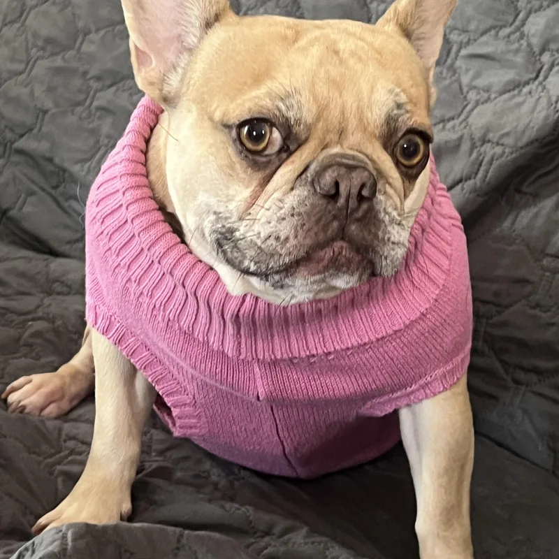 Winnie thumbnail 3