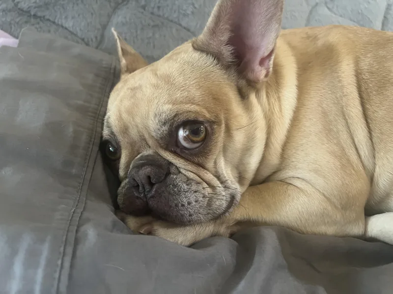 Winnie thumbnail 4