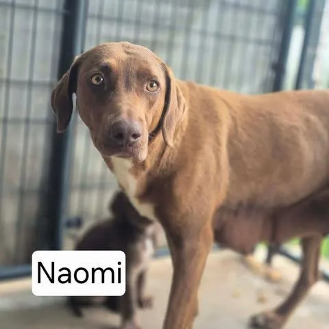 Naomi