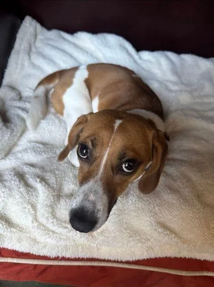 Molly Ann thumbnail 2