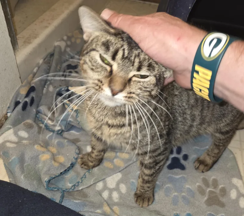 Salted Caramel thumbnail 2