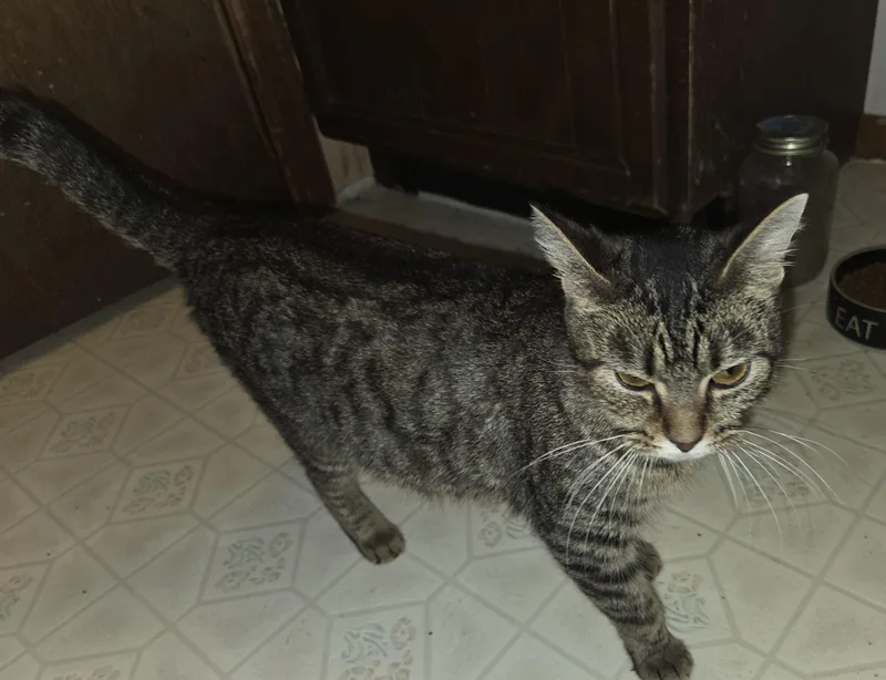 Salted Caramel thumbnail 3