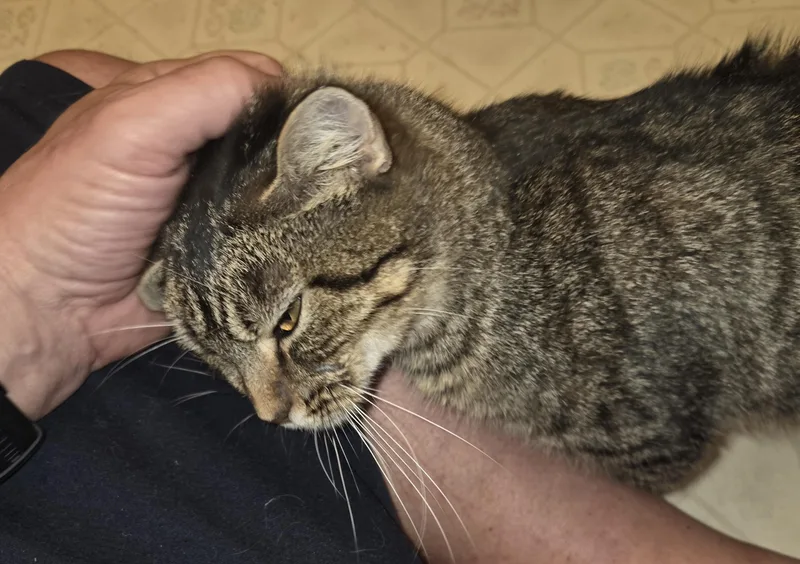 Salted Caramel thumbnail 5