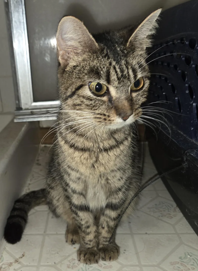 Salted Caramel thumbnail 6