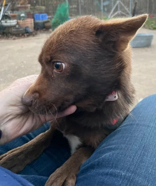 Scotland thumbnail 2