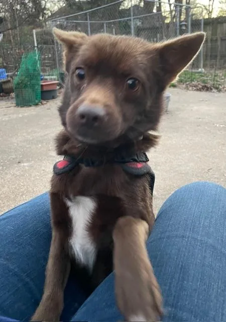 Scotland thumbnail 3