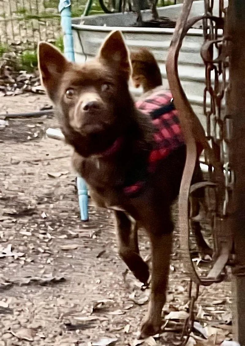 Scotland thumbnail 4