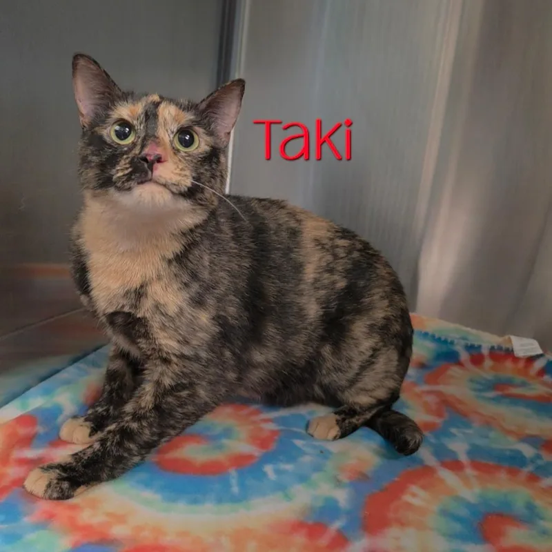 Taki