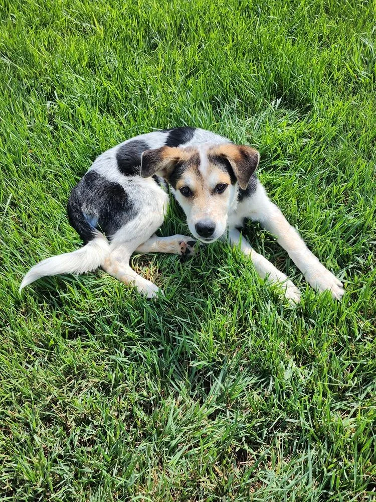 Duncan