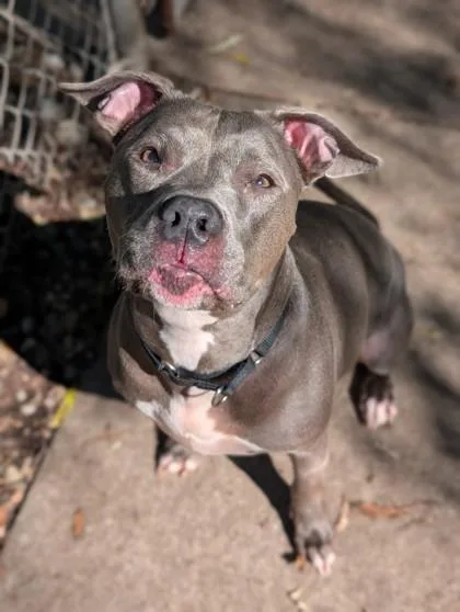 Princess thumbnail 3