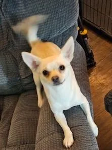 Rosie Charlotte thumbnail 3