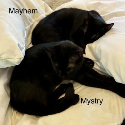 Mystry thumbnail 2