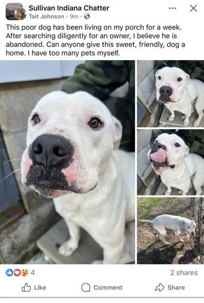 Bo Johnson thumbnail 2