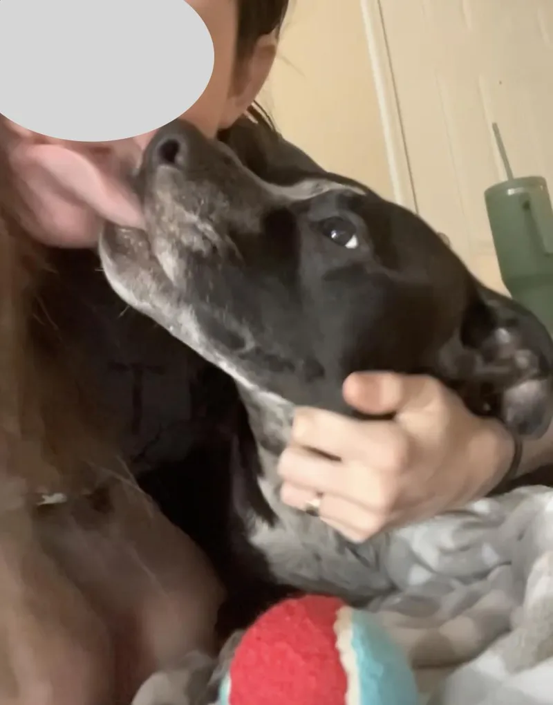 Willow thumbnail 4