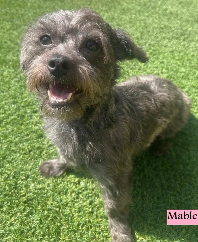Mable