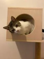 Swiffer thumbnail 3