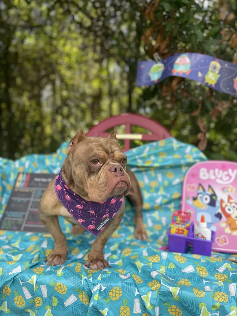 Miss Peaches thumbnail 2
