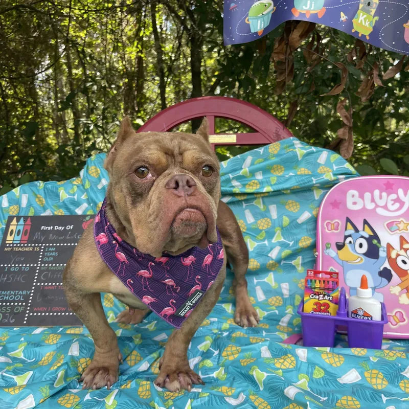Miss Peaches thumbnail 5