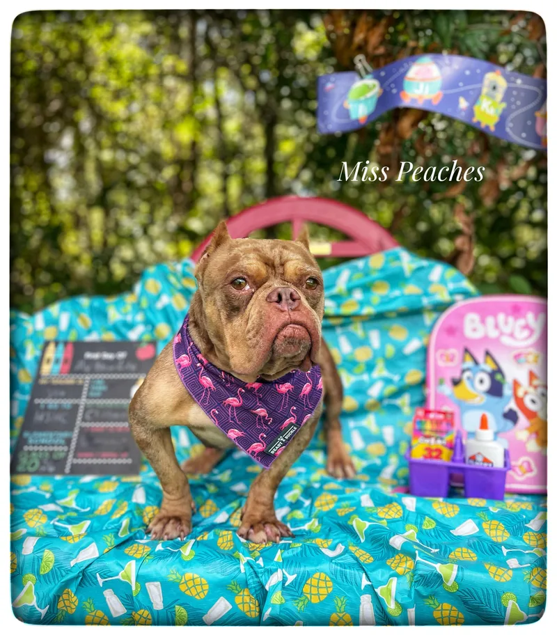 Miss Peaches thumbnail 6