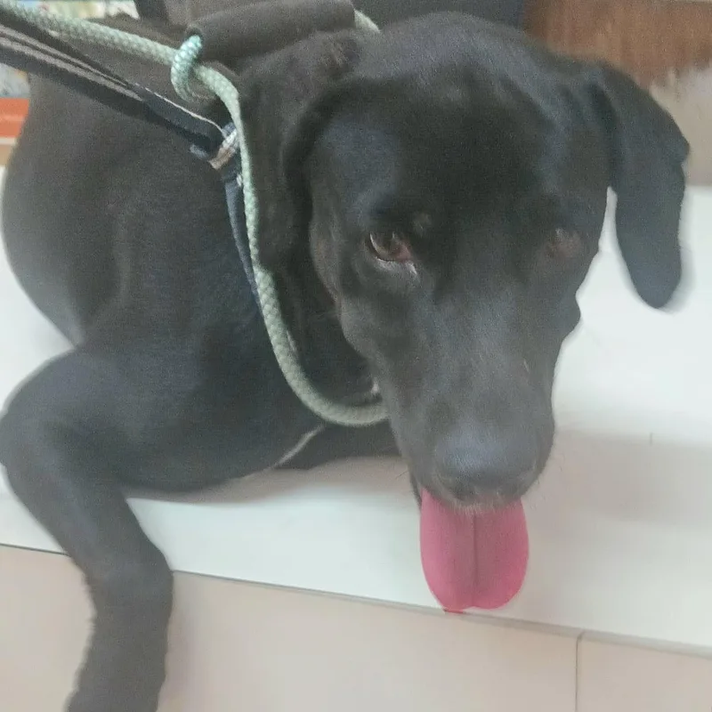 Beba " Your Best thumbnail 2