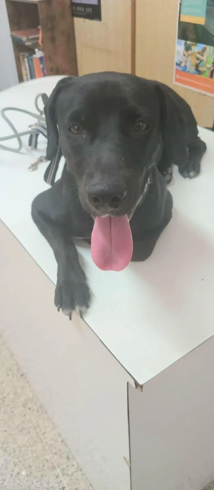 Beba " Your Best thumbnail 3