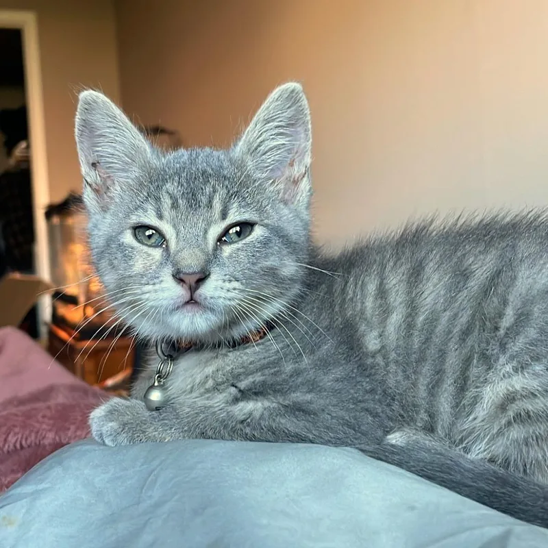 Sticky thumbnail 2
