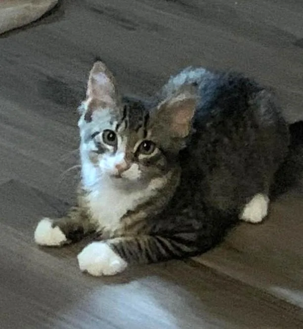 Jr