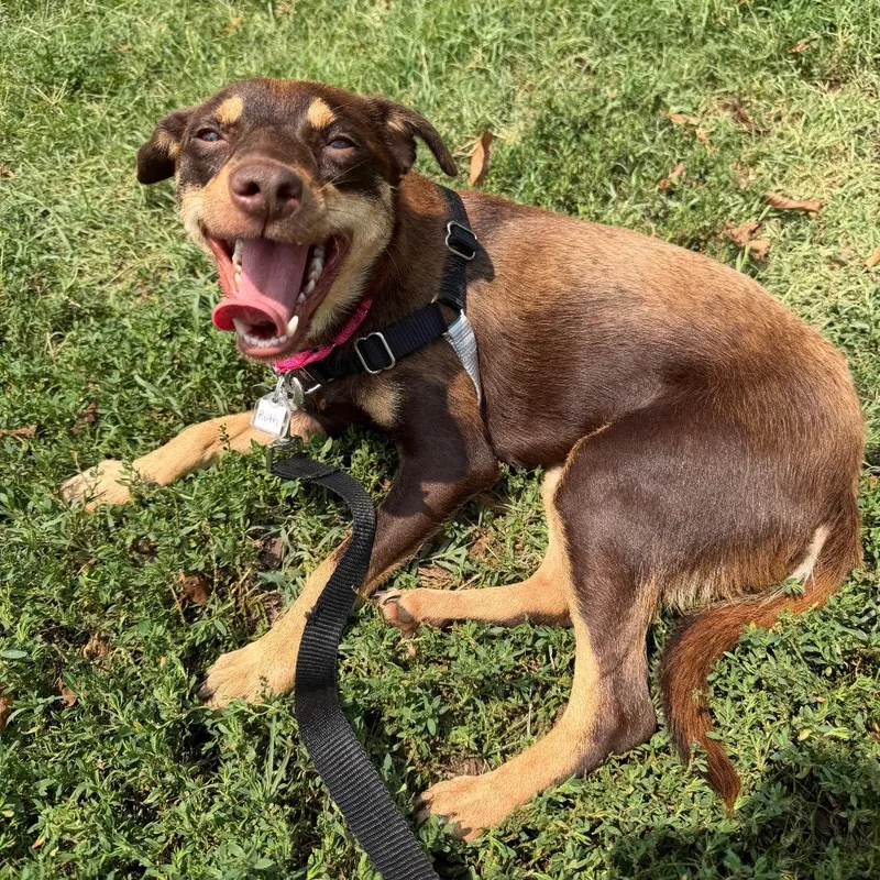 Ruth thumbnail 4