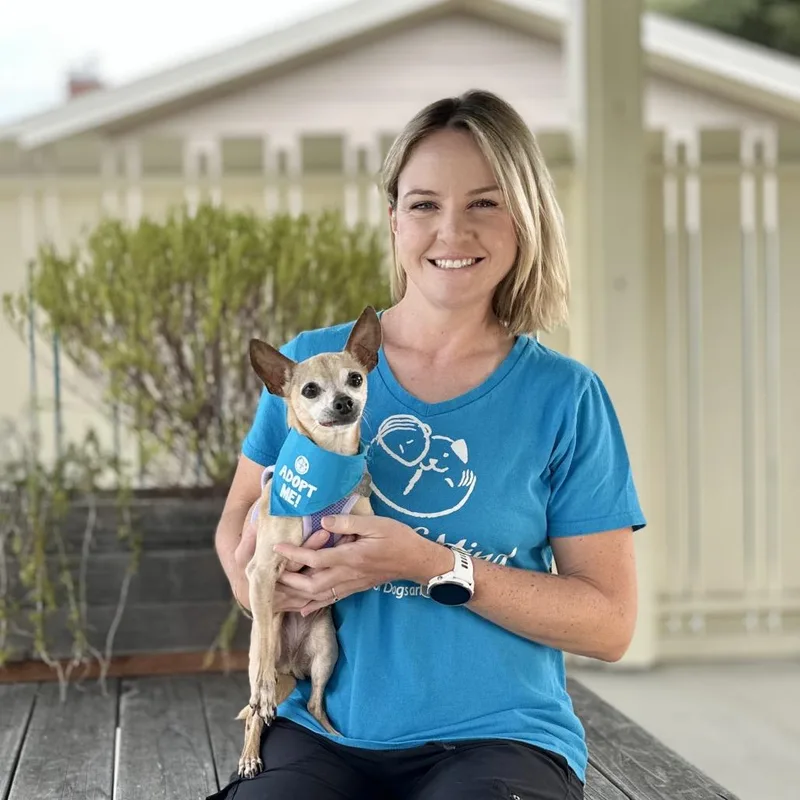 A senior small-sized female Yellow / Tan / Blond / Fawn Chihuahua dog named Mustard for adoption in Pacific Grove, CA