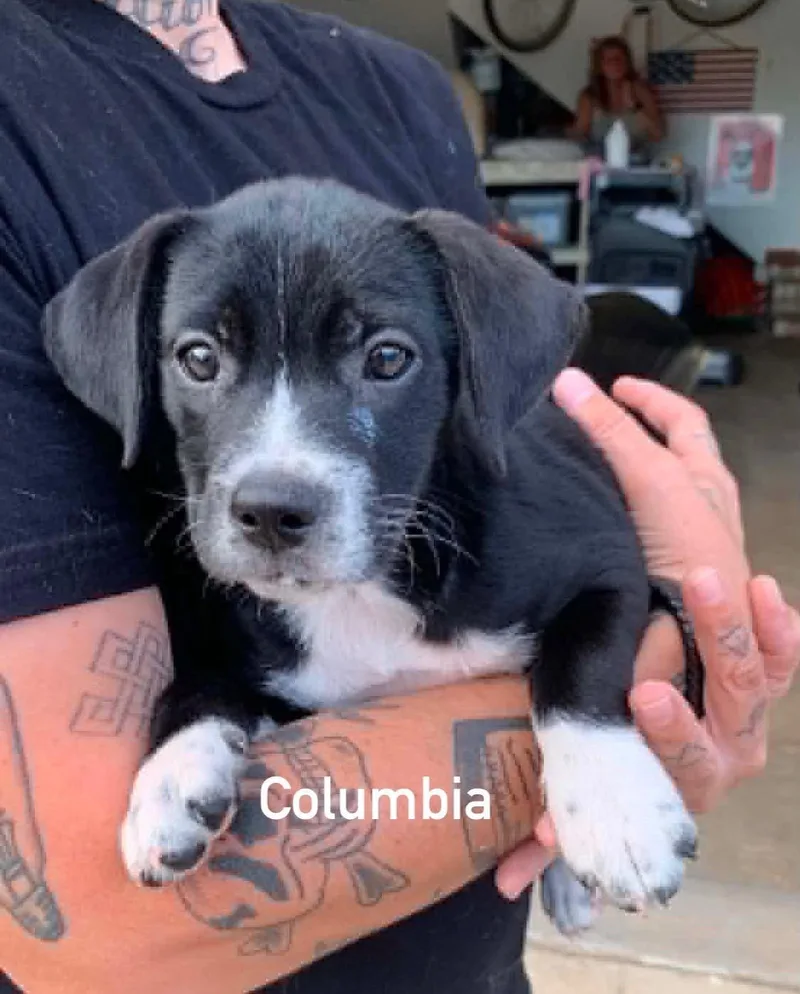 Columbia thumbnail 2