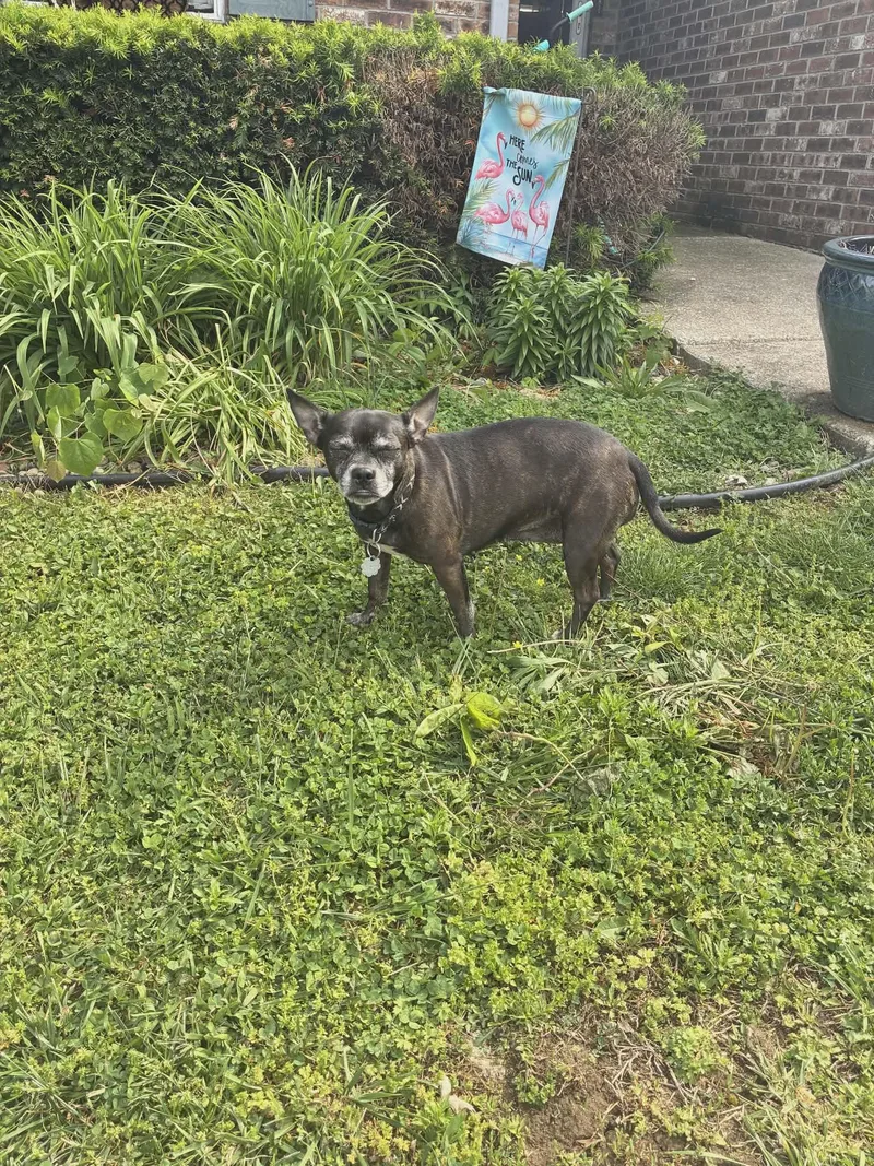Sammy