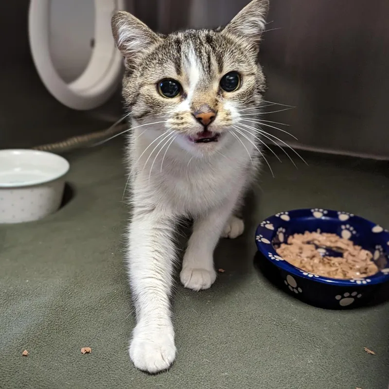 K.sanders thumbnail 2