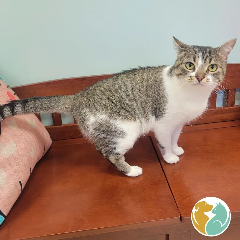 K.sanders thumbnail 3