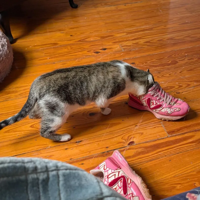 K.sanders thumbnail 4