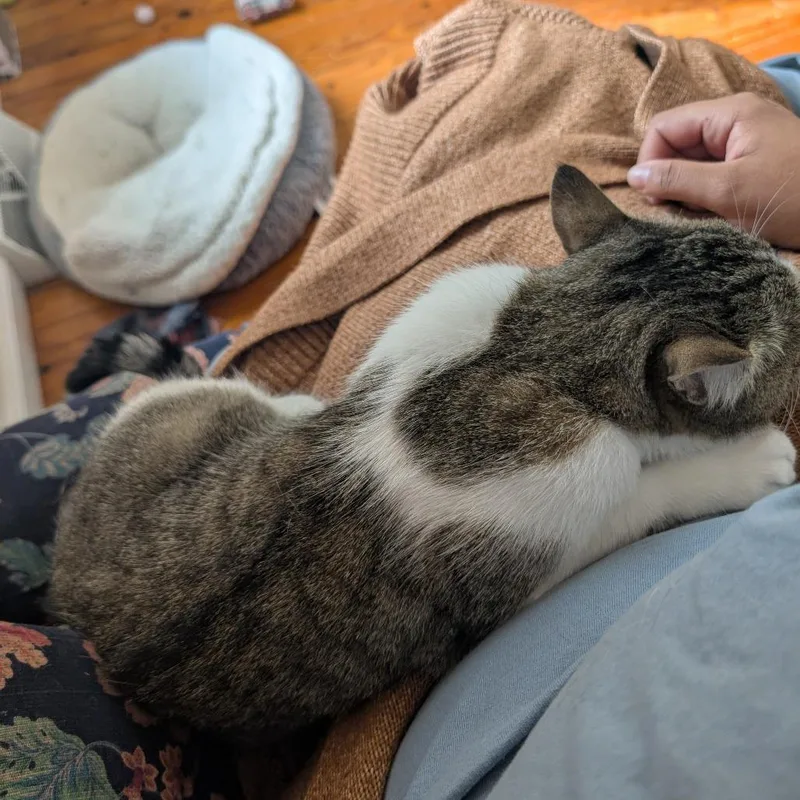 K.sanders thumbnail 5