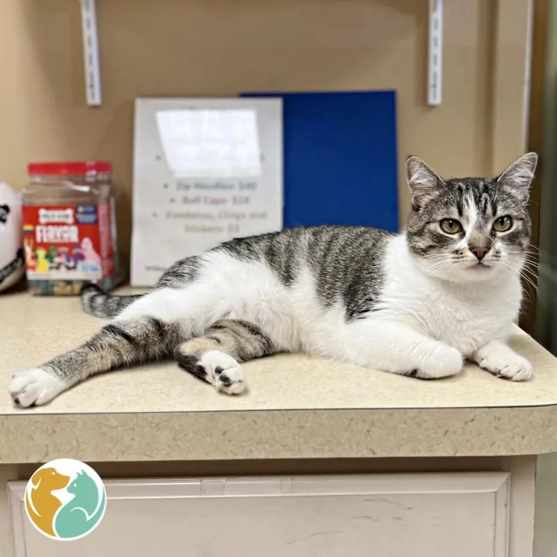 K.sanders thumbnail 6