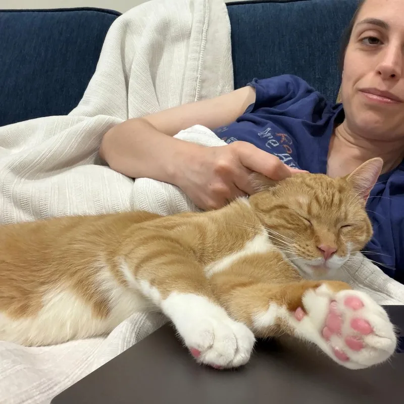 Cheeto thumbnail 4