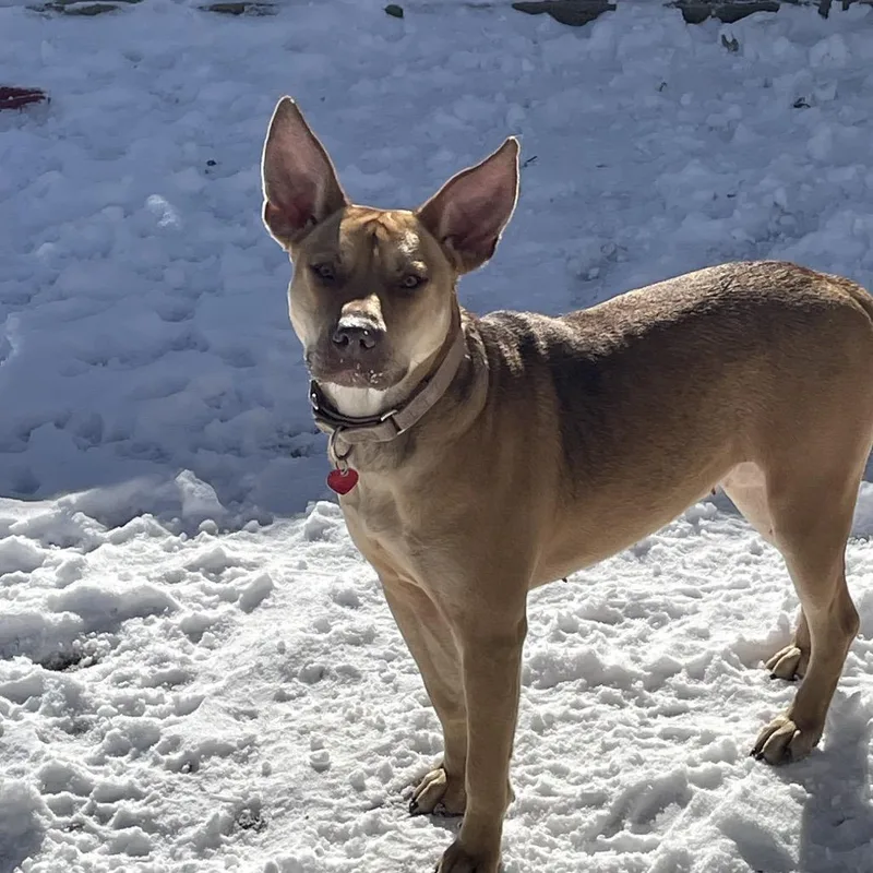 Tina Belcher thumbnail 3