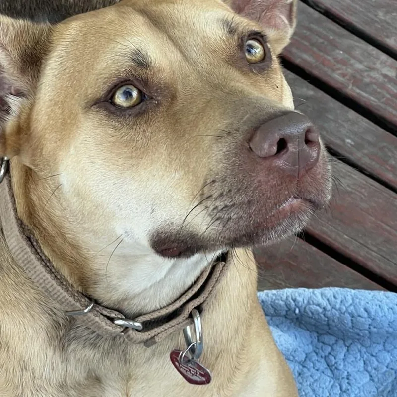 Tina Belcher thumbnail 5