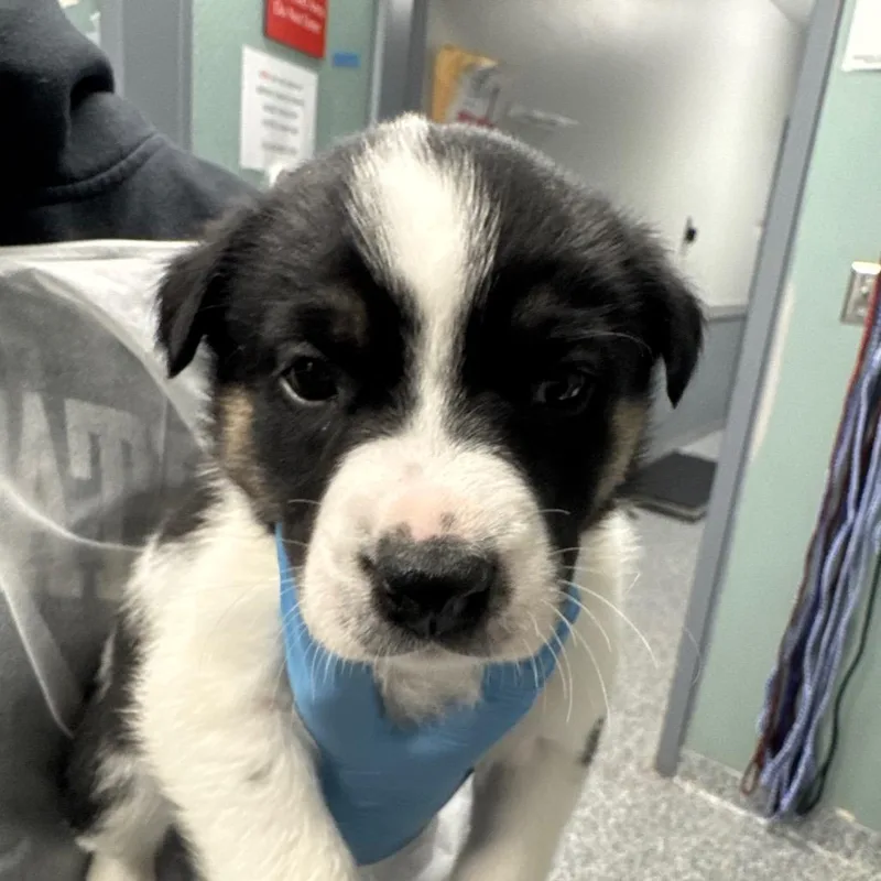 Phil Deville thumbnail 3